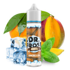 Dr. Frost Polar Ice Orange Mango Ice Longfill Aroma