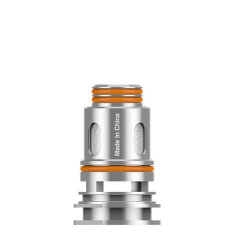 GeekVape P-Series Coil 0,2 Ohm (5Stk)