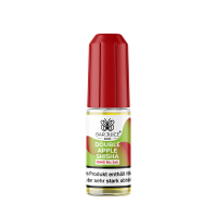 Bar Juice 5000 Double Apple Shisha Nicsalt Liquid 10ml