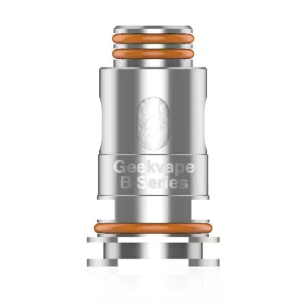 B0.2 0,2 Ohm